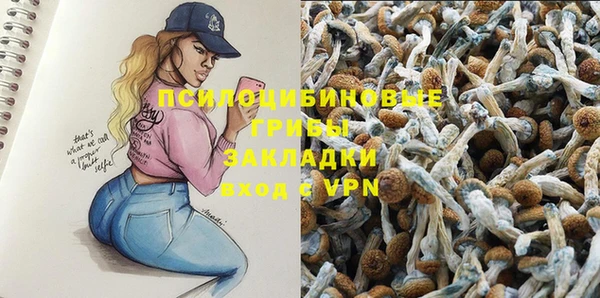 apvp Белоозёрский