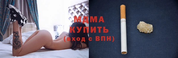 шишки Сосновый Бор