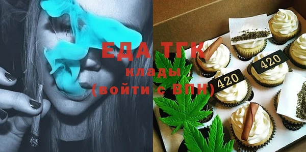 индика Сосновоборск