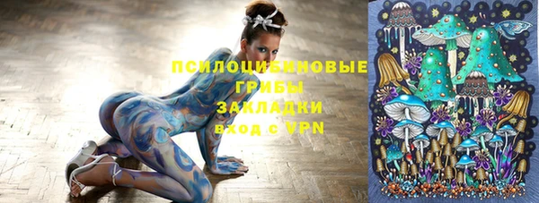 apvp Белоозёрский