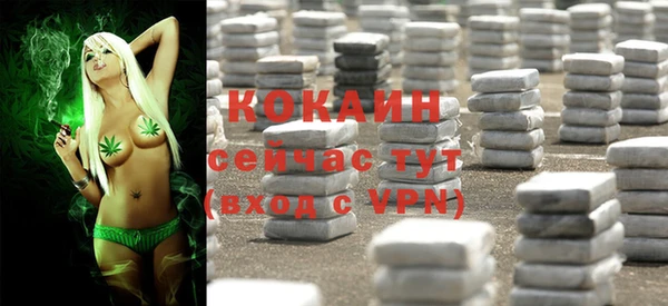 дмт Белокуриха