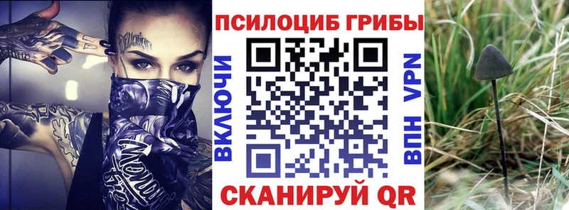 Галлюциногенные грибы Psilocybine cubensis Нижняя Салда